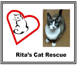 Rita's Cat Rescue Card Image